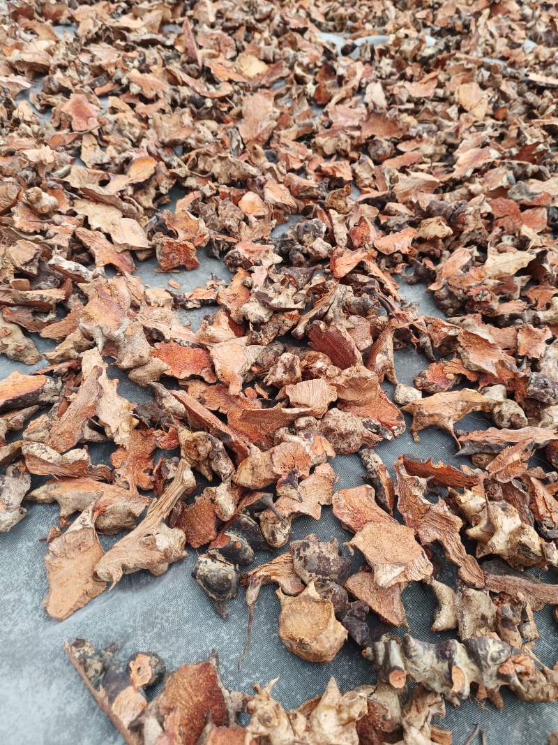 金刚头，菝契，金刚藤洗干净泥土无硫手工砍干货