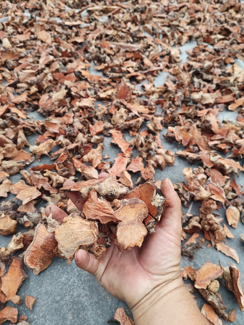 金刚头，菝契，金刚藤洗干净泥土无硫手工砍干货