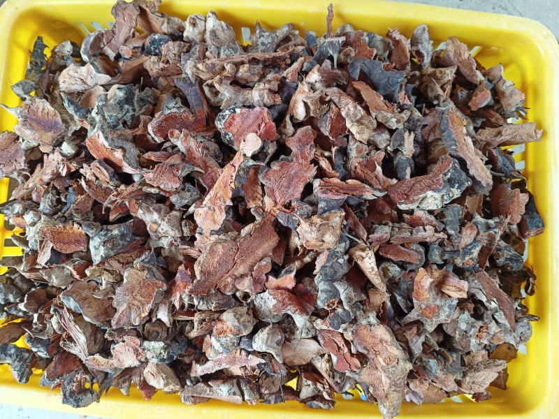 金刚头，菝契，金刚藤洗干净泥土无硫手工砍干货