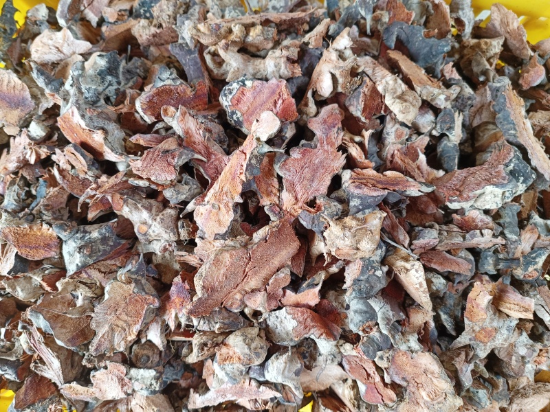 金刚头，菝契，金刚藤洗干净泥土无硫手工砍干货