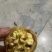 青皮核桃清香，辽系，硕丰大量上市。需要联系