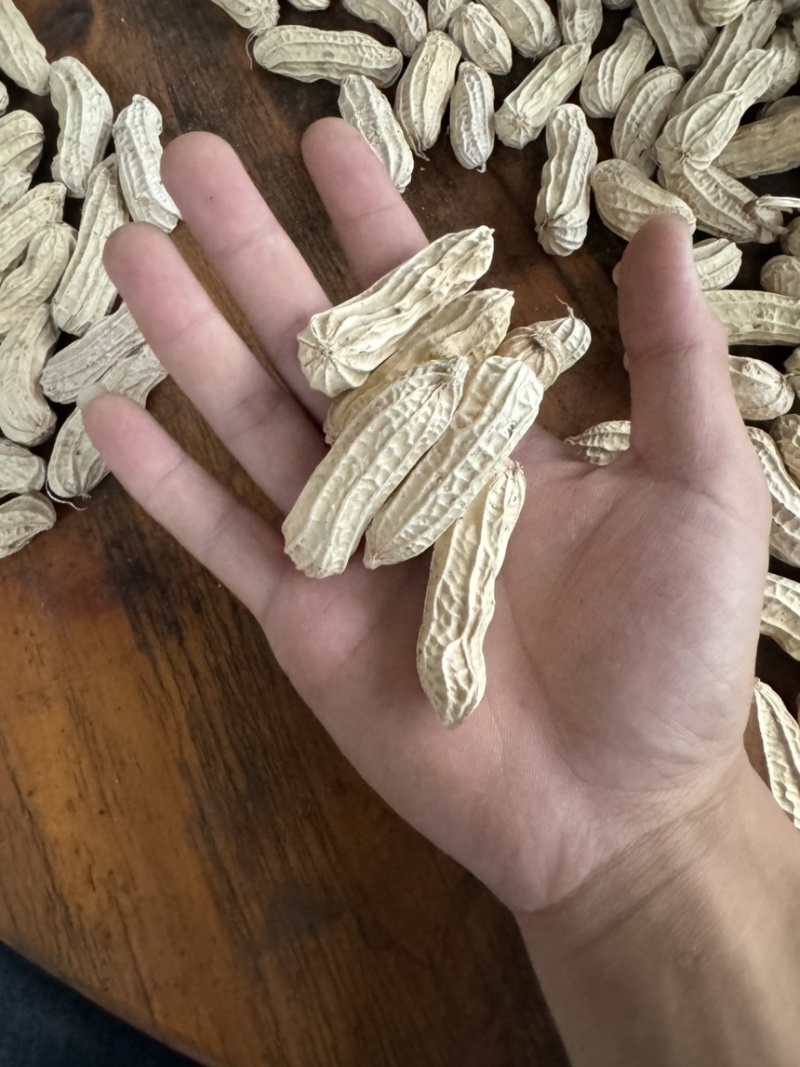 孟连黑花生/一手货源/保质保量/货源稳定/欢迎致电