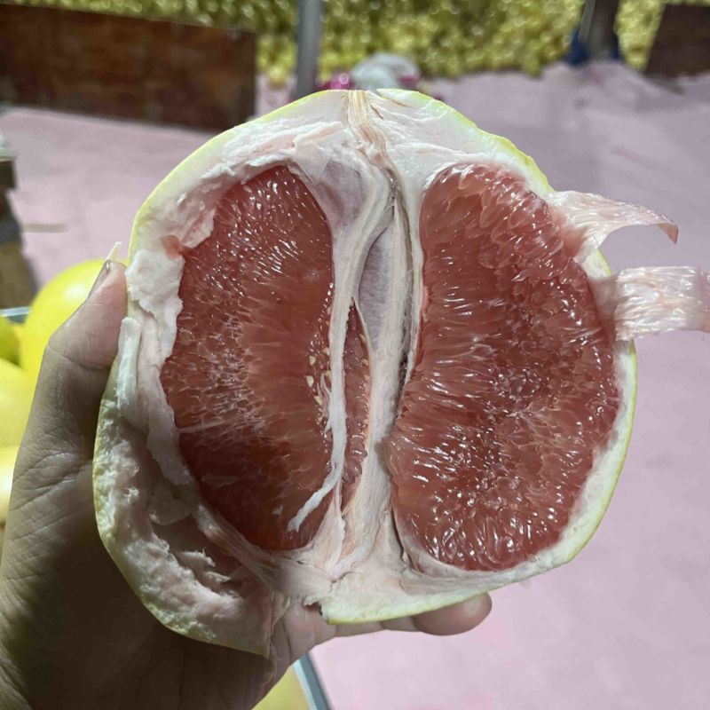 福建平和琯溪蜜柚，鲜肉多汁，超甜，现摘现卖，一手货源！