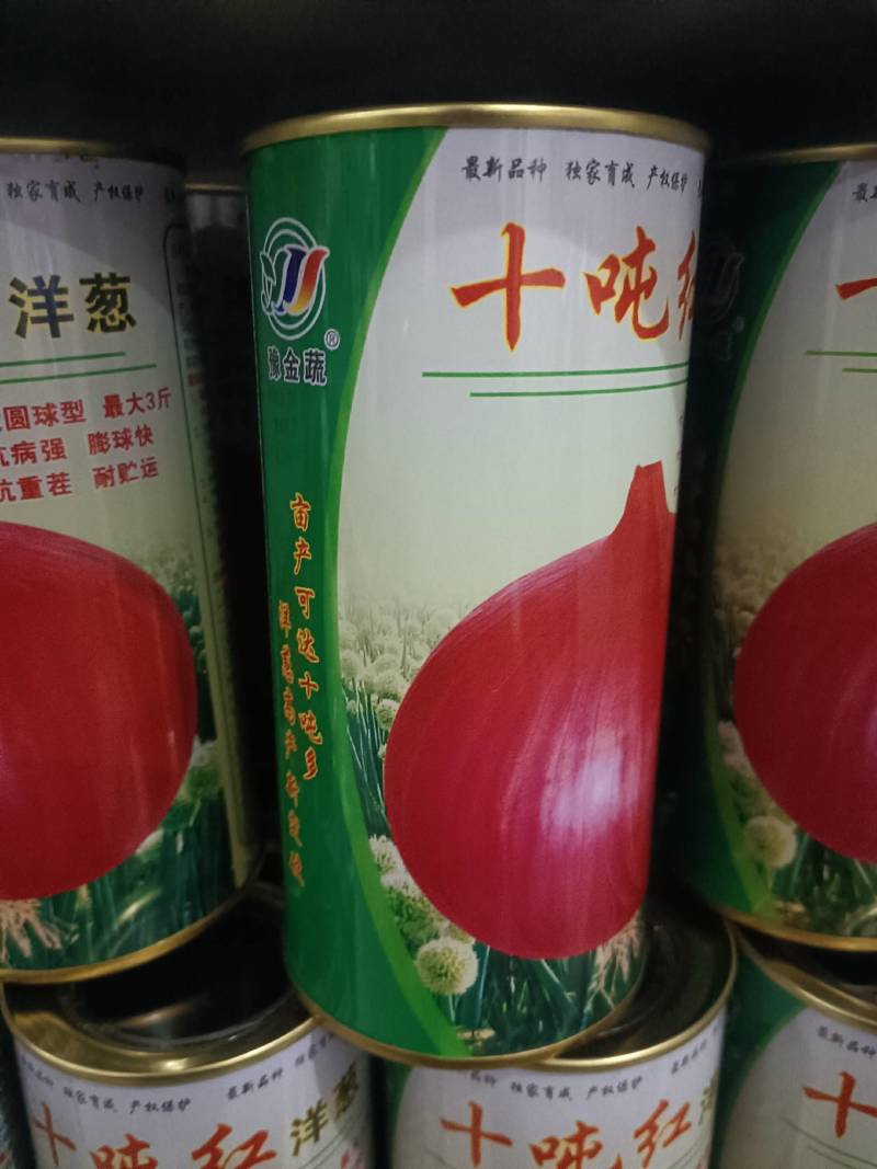 十吨红适宜甘肃新疆内蒙种植色泽红亮个头大抗裂