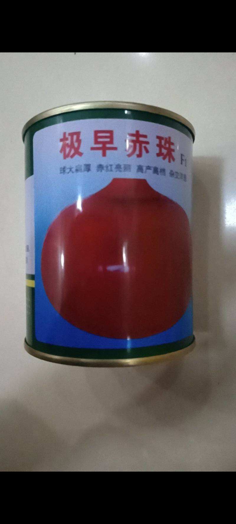 极早赤珠杂交一代扁厚型紫红亮丽，亩产1.2万斤