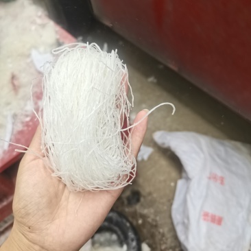 碎粉丝