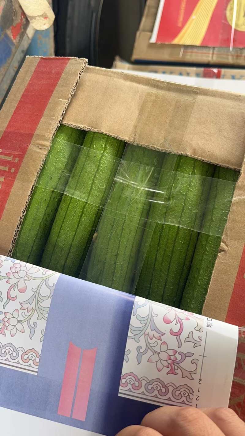 精品油皮丝瓜，掉价中白菜价