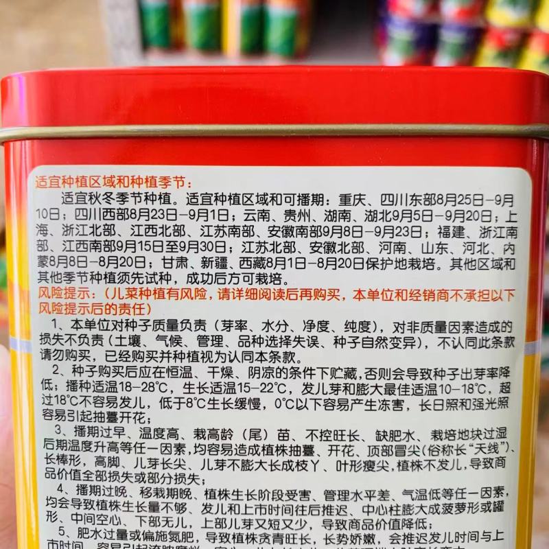 方政正早一号儿菜种子基地级儿菜种籽早熟儿大型芥兰种子