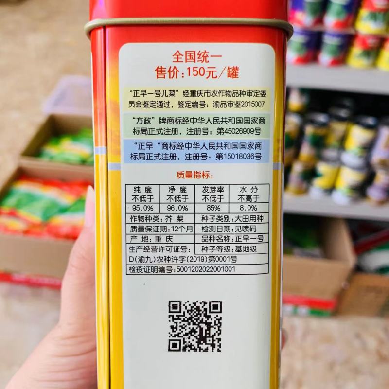 方政正早一号儿菜种子基地级儿菜种籽早熟儿大型芥兰种子