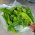 芜湖椒大量上市正在接单中