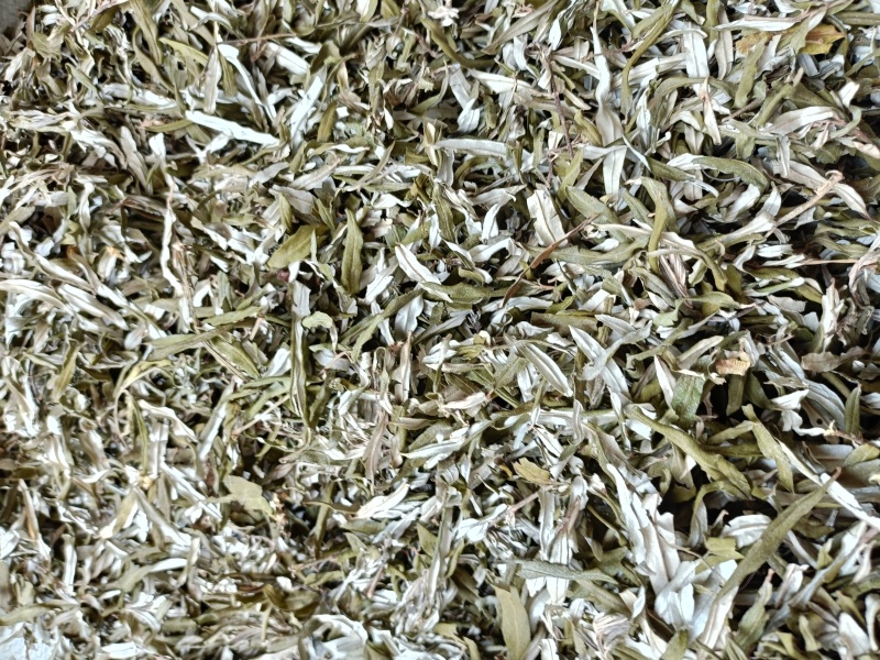 沙棘叶，野生中药材沙棘叶沙棘沙棘果正品无硫！