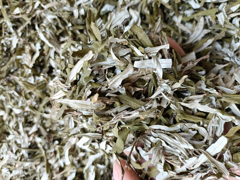 沙棘叶，野生中药材沙棘叶沙棘沙棘果正品无硫！