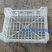 苹果梨子桃子葡萄筐全新料一次料货源充足价格优惠欢迎咨询