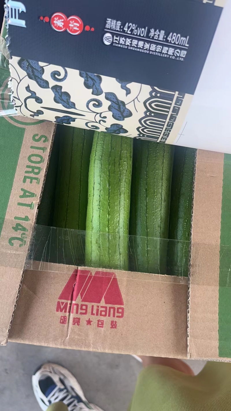 香丝瓜掉价中，大量有货，毛毛钱