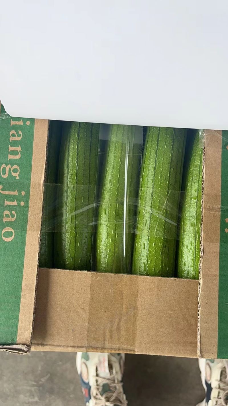 香丝瓜掉价中，大量有货，毛毛钱