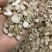 白芍片地道亳白芍深入加工规格齐全新货上市品质保障量大价优