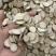 白芍片地道亳白芍深入加工规格齐全新货上市品质保障量大价优