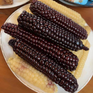 拇指玉米