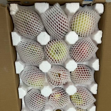 昭通苹果一件代发