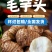 精品芋头批发/8520毛芋头【电商货/市场货/加工厂】
