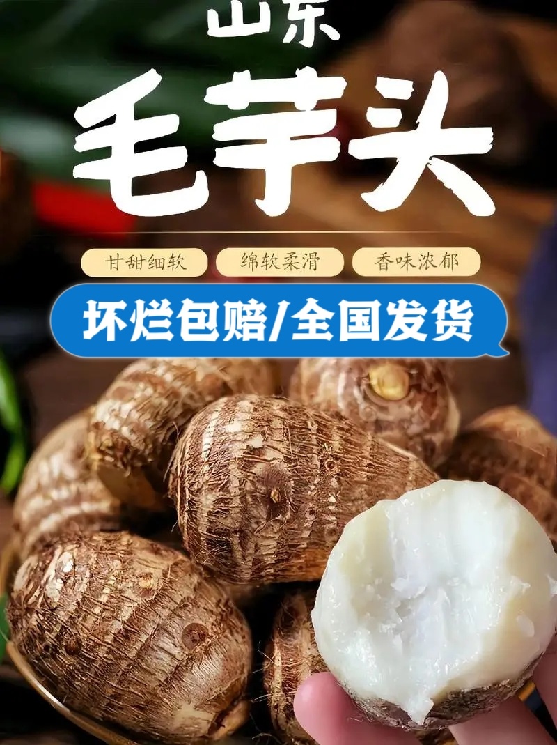 精品芋头批发/8520毛芋头【电商货/市场货/加工厂】