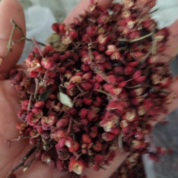 大红袍花椒/陕西花椒/渭南花椒/产地直发/量大价优