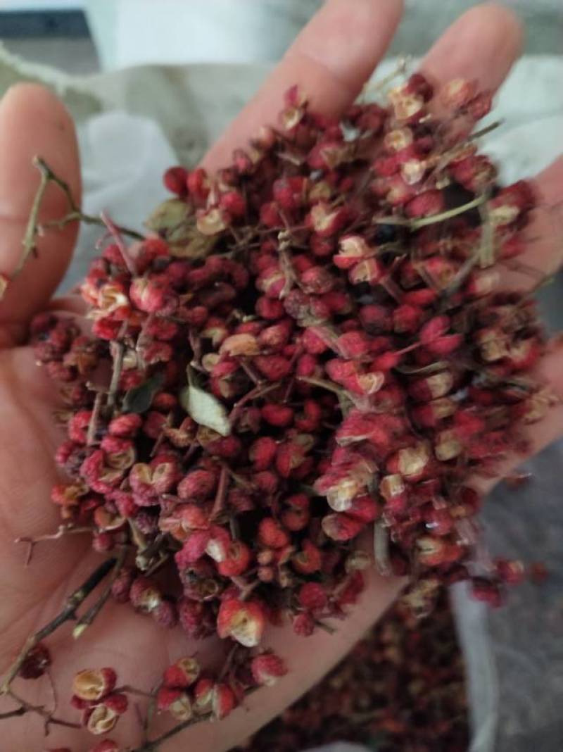 大红袍花椒/陕西花椒/渭南花椒/产地直发/量大价优