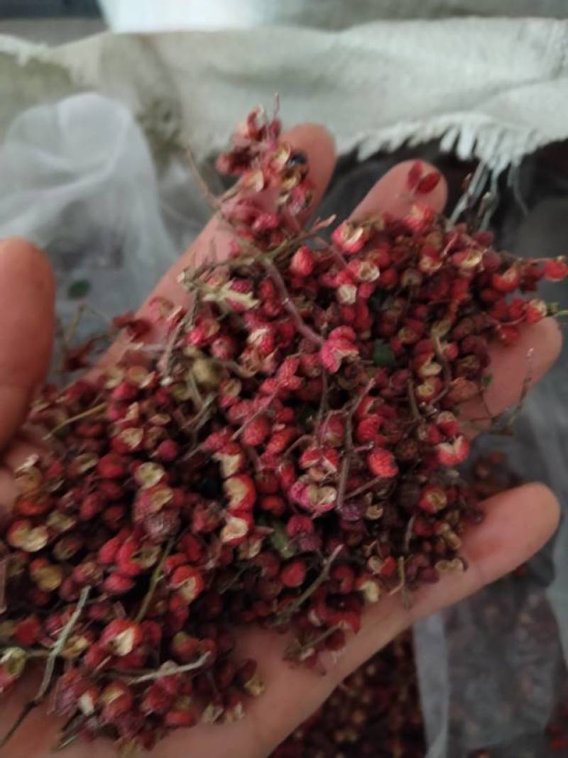 大红袍花椒/陕西花椒/渭南花椒/产地直发/量大价优