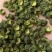 大红袍花椒/陕西花椒/渭南花椒/产地直发/量大价优