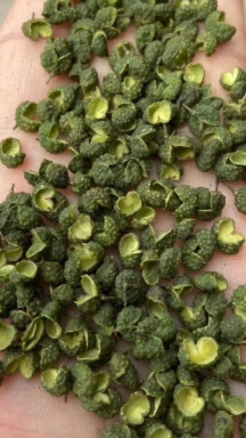 大红袍花椒/陕西花椒/渭南花椒/产地直发/量大价优