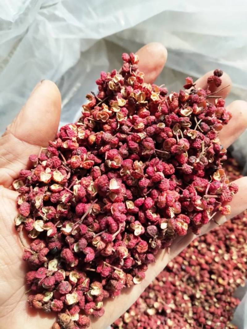 大红袍花椒/陕西花椒/渭南花椒/产地直发/量大价优