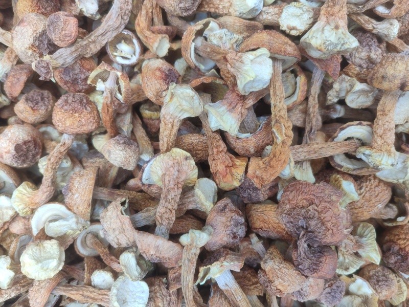 小个、头干净金黄姬松茸，煲汤**好吃，