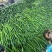 电商黄瓜，社区团购，大型商超，市场货大量有货。