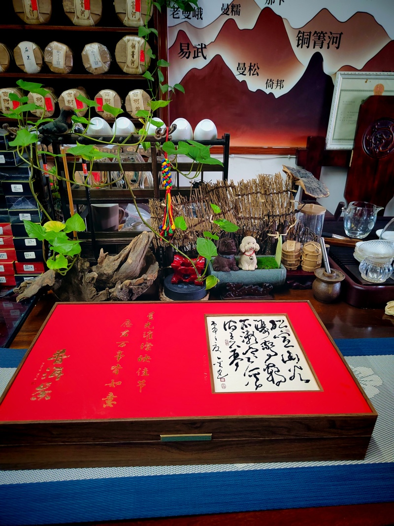 老树茶古树纯料2021年357克饼茶回甘很好买七饼送一饼