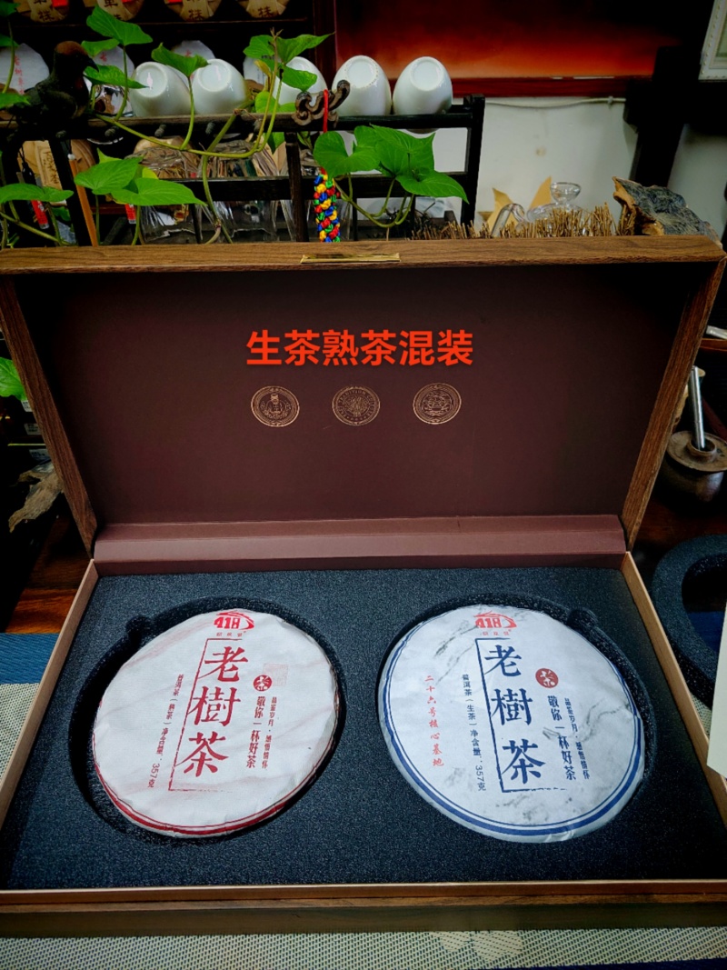 老树茶古树纯料2021年357克饼茶回甘很好买七饼送一饼