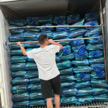 精品北京茭，精品红梗茭白，有二级，统货，，垃圾瓜，，电商