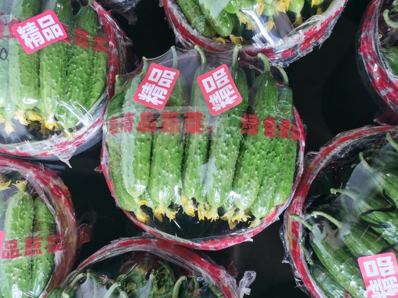 辽宁绥中旱黄瓜产地2元