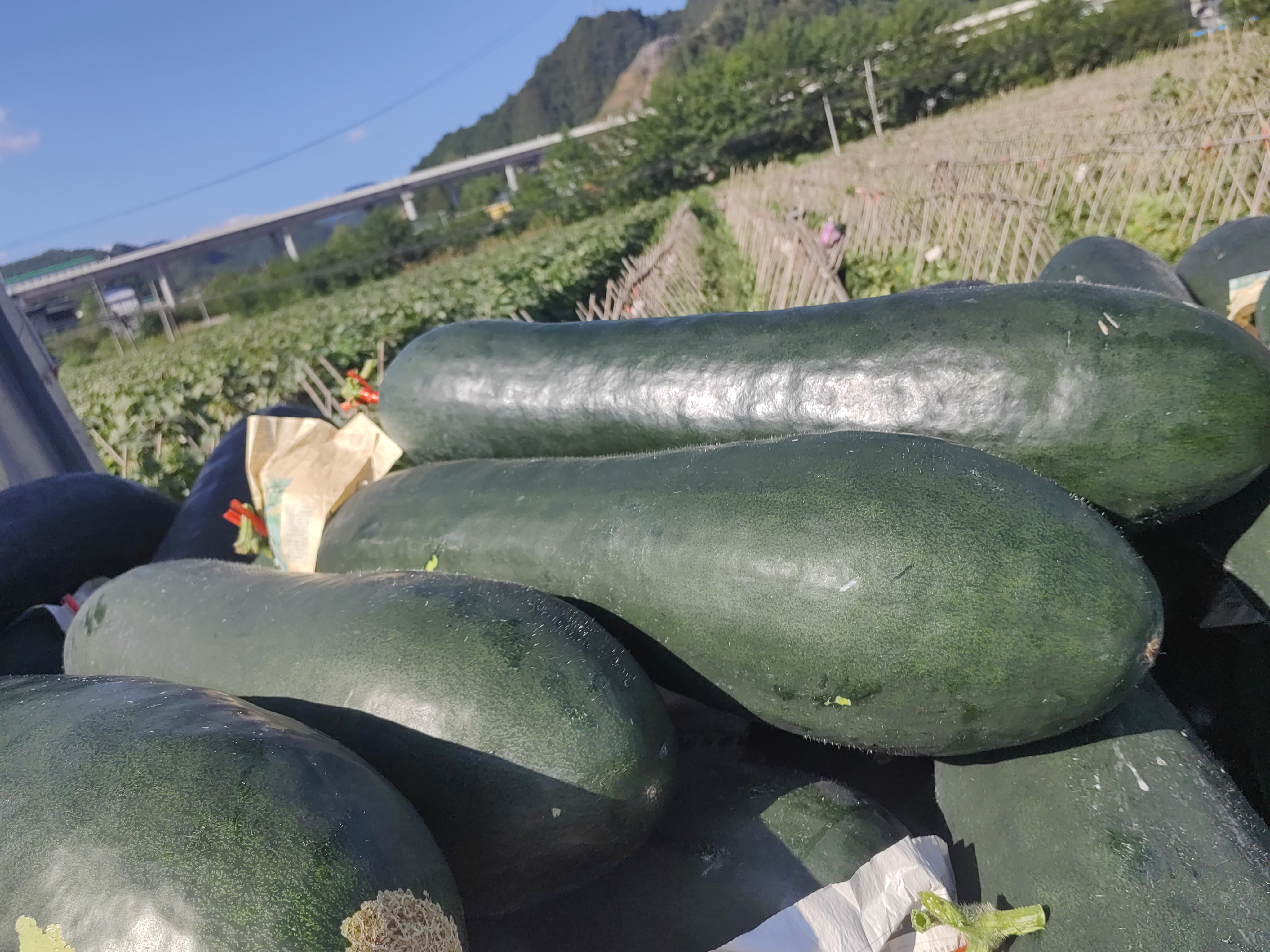 野菜蒸菜搭配主食的用餐场景图