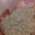 籼米丰良优茉莉香油粘米