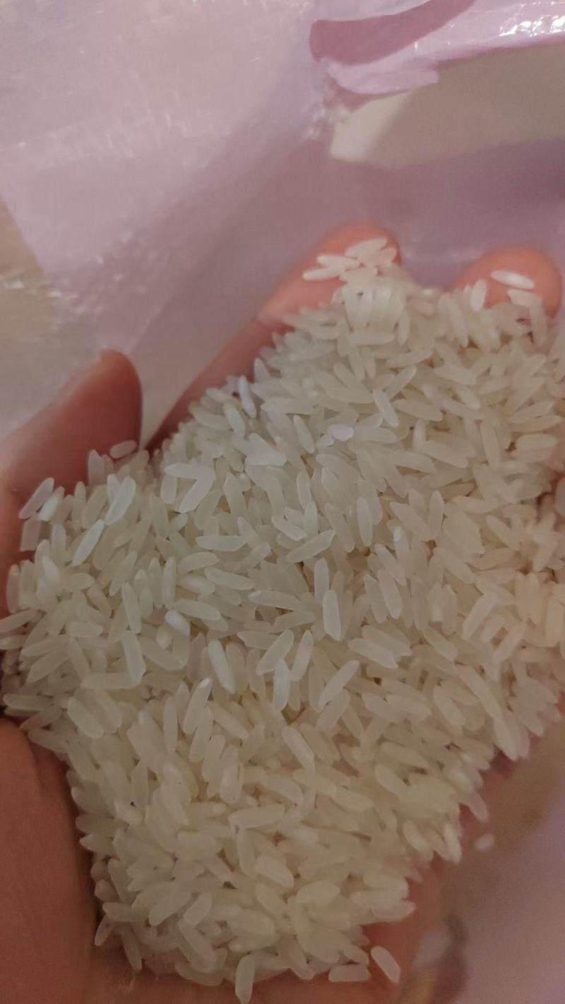 籼米丰良优茉莉香油粘米