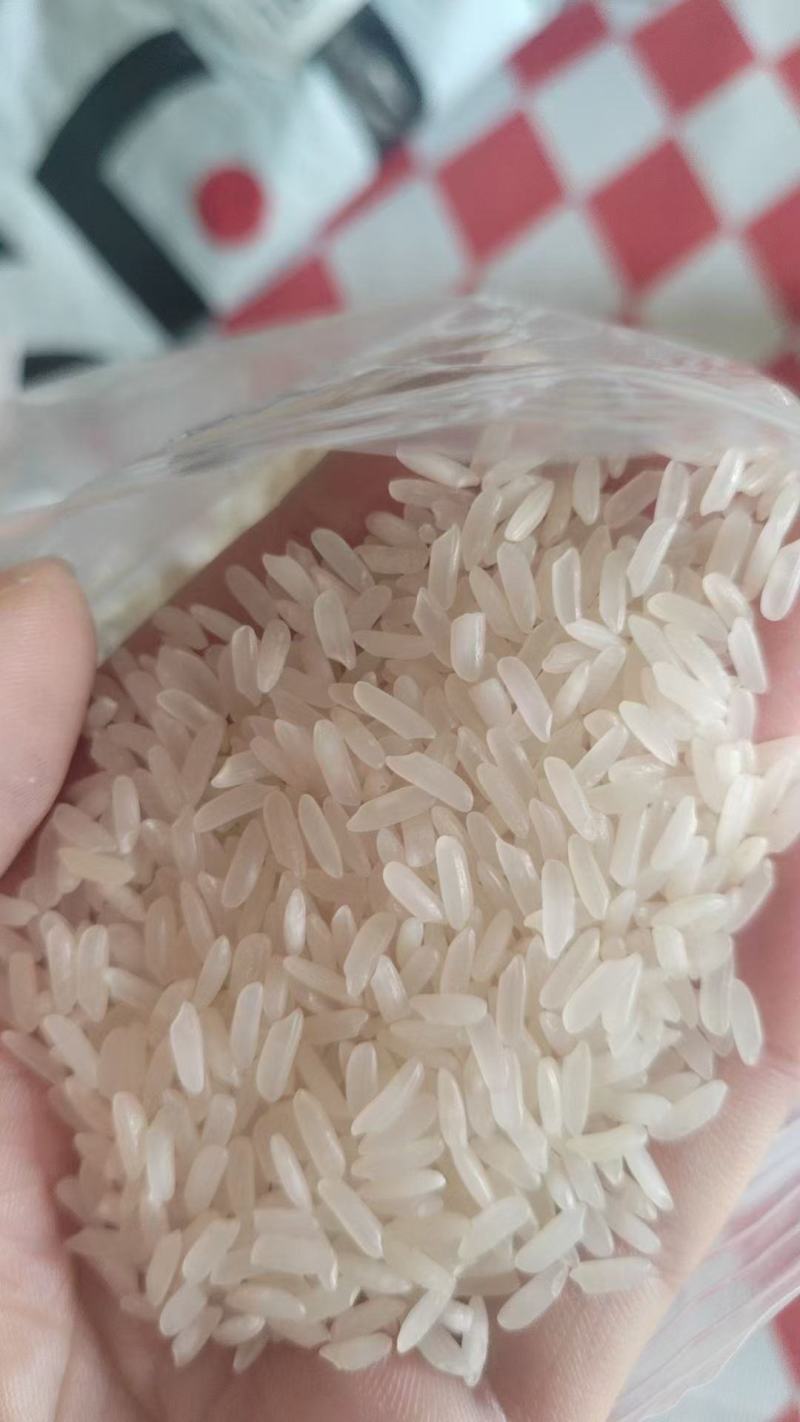 籼米丰良优茉莉香油粘米