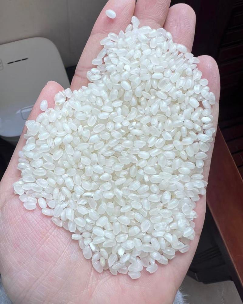 纯南粳9108软香米
