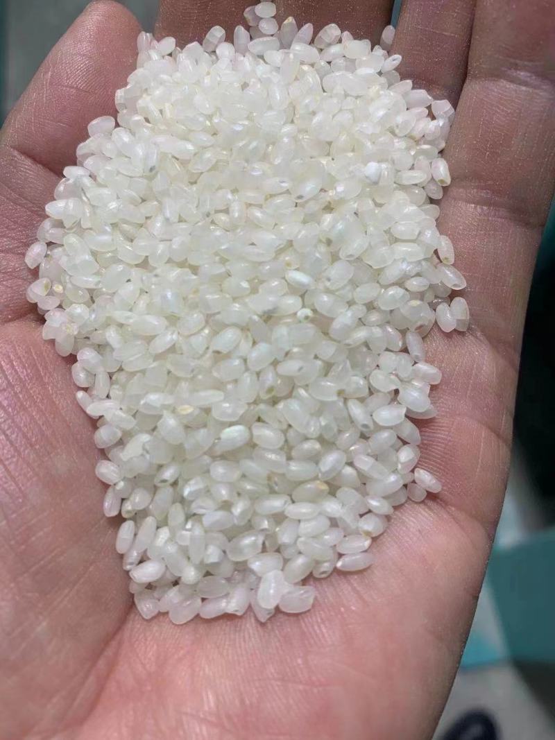 纯南粳9108软香米