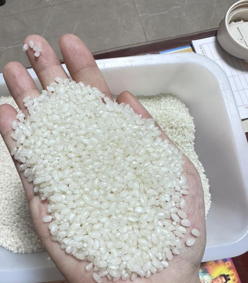 纯南粳9108软香米