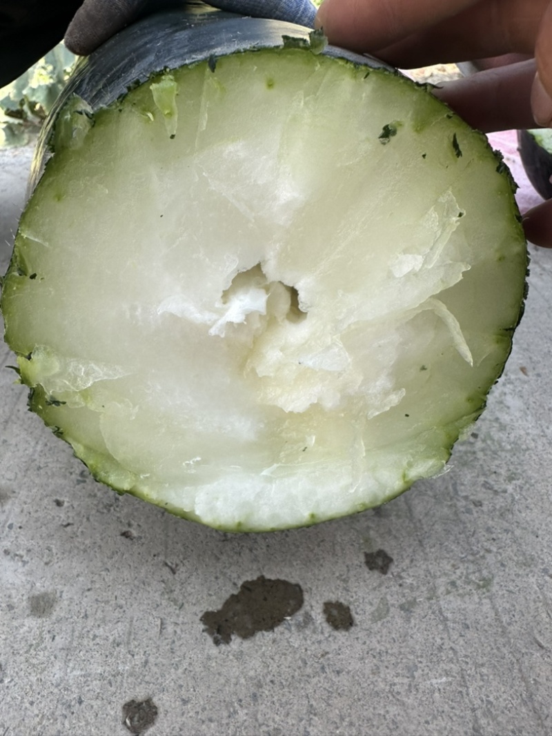 贵州吊冬瓜