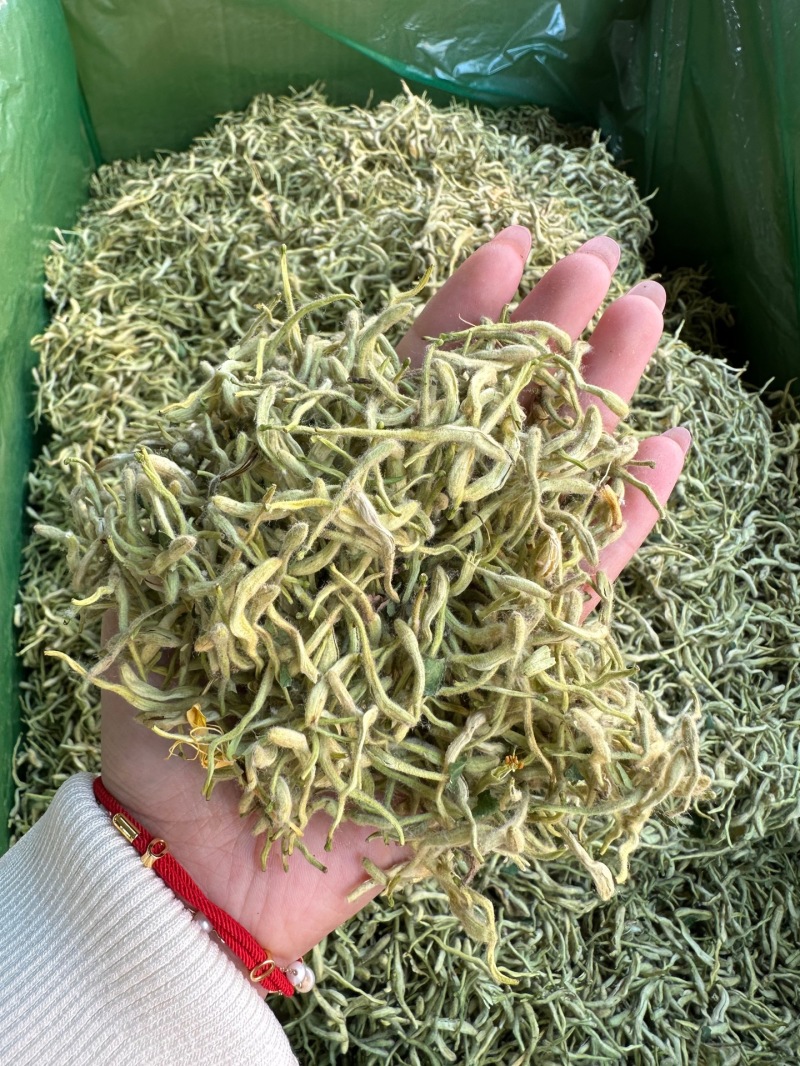 金银花批发供应金银花河南封丘优质山金银花花草茶