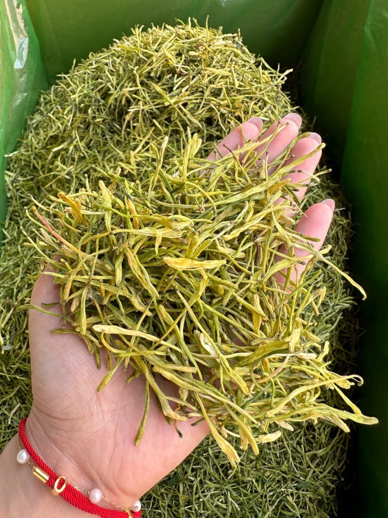 金银花批发供应金银花河南封丘优质山金银花花草茶