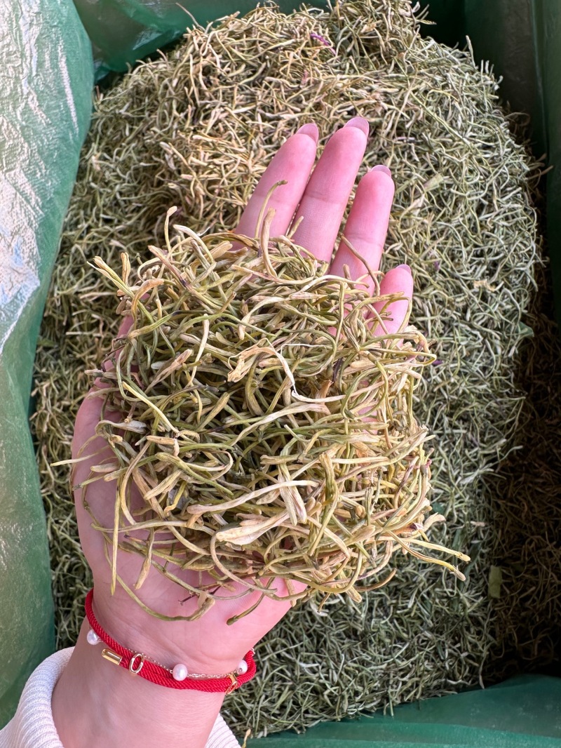 金银花批发供应金银花河南封丘优质山金银花花草茶