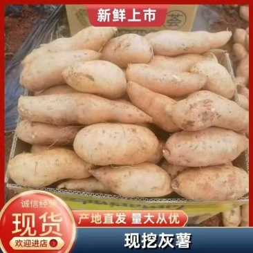 云南特有红薯，灰薯，优质精品欢迎各种客商对接