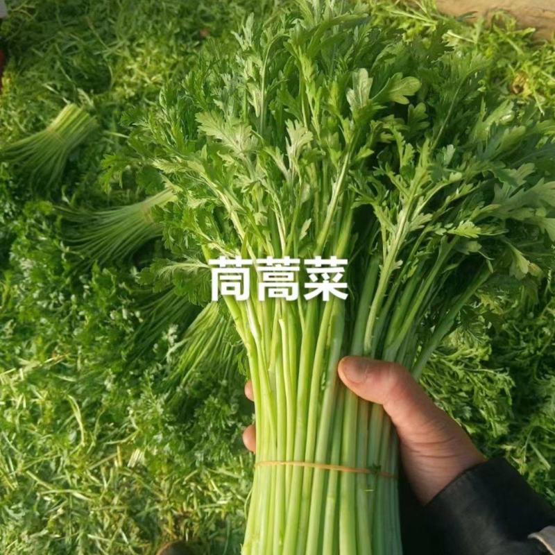 茼蒿菜